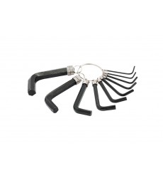 Ключі шестигранні MASTERTOOL CrV 1,5-10 мм набір 10 шт 75-0954