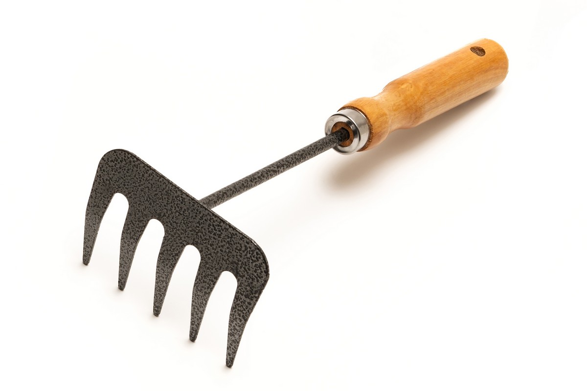 Граблі садові MASTERTOOL 5 зубів 255×95 мм з дерев'яною ручкою 14-6191 view 1