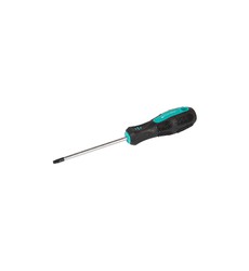 Викрутка магнітна MASTERTOOL TORX TT25х100 мм ручка з TPR покриттям 49-0251