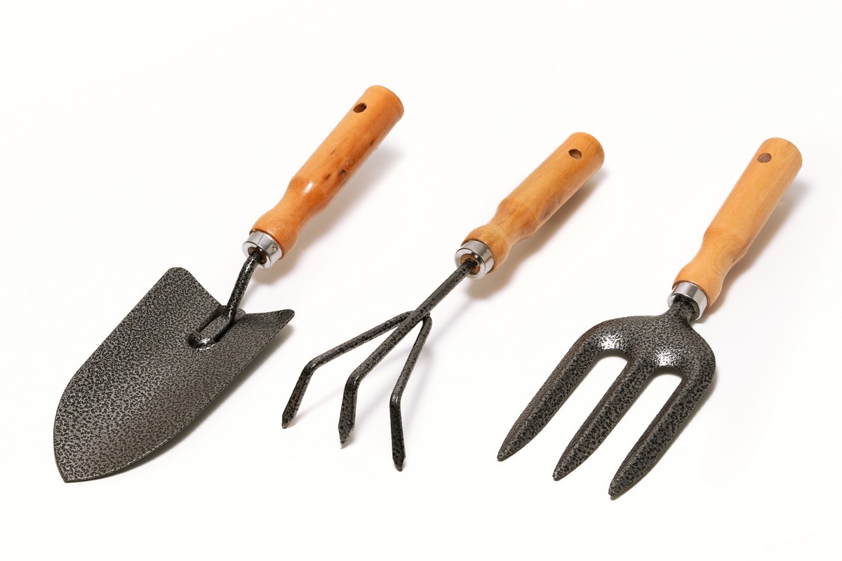 Набір садового інструменту MASTERTOOL Garden WOOD 3 шт 14-6099 view 1
